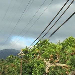 Meet your Posher, Alanam